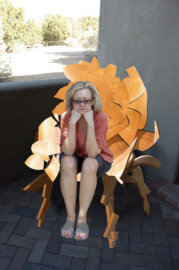 Ellen's Deconstructed Eames Chair