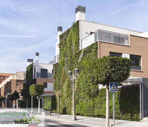 Vertical garden. Paterna.