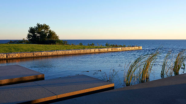 Detail of Naturally Filtered Pool