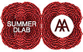 AA Summer DLAB 2015 :: RED