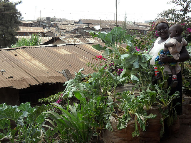 Garden-in-a-Sack: Solidarités International. Funders: European Union and Agence Française de Développement. Kibera, Mathare, Kiambiu, and Mukuru Lunga-Lunga informal settlements, Nairobi, Kenya, 2008-present. Photo: © Solidarités International 