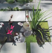 Michael Vergason Landscape Architects, Ltd