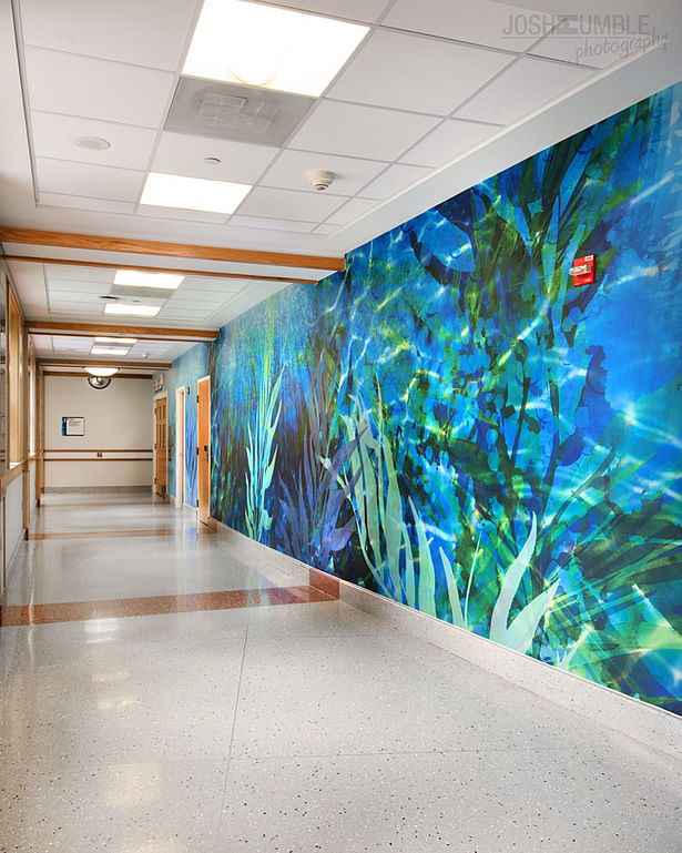 Riley Hospital for Children Wall Murals Interior Photography ©Josh Humble