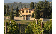 Villa Medicea and Winery Restoration