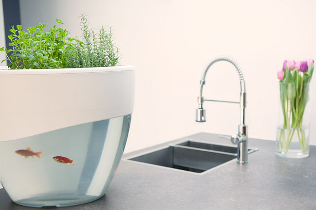 Vegua: Self-Cleaning Aquaponics System to Grow Organic Food by Dutch company Sphereness.