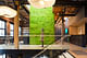 Slack Vancouver HQ by Leckie Studio Architecture + Design. Photo: Michael Leckie, Ema Peter.