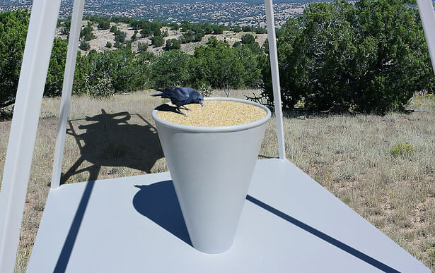 Detail view of the birdseed pedestal.