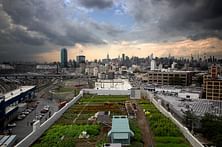Rooftop farms combine the rural and urban in future cities