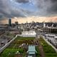 Brooklyn Grange, world's largest rooftop farm. Image via thecityatlas.org
