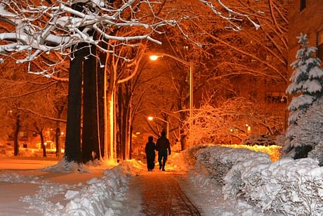 First Light After the Snow Storm