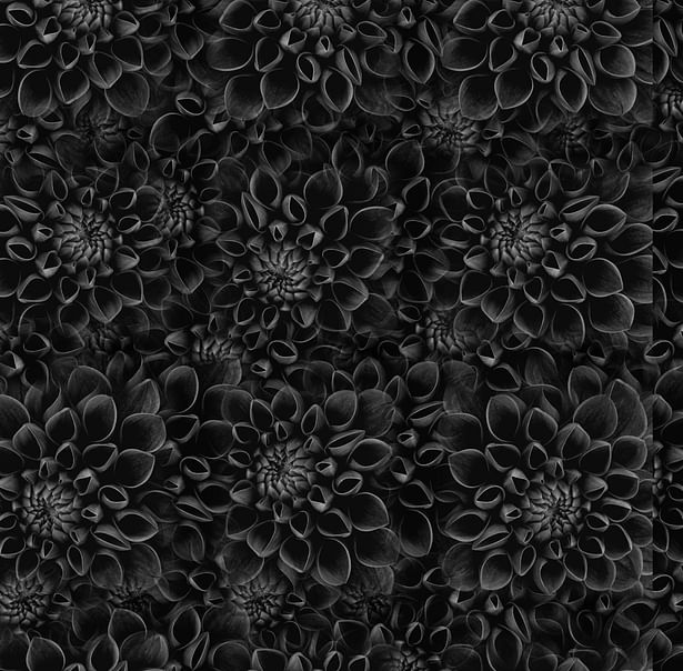 Black Flower Surface
