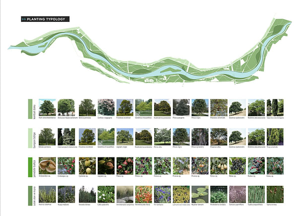 021 – SCHEMES | PLANTING TYPOLOGIES - Image Courtesy of ONZ Architects & MDesign