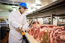 The opposite job of an architect is a slaughterer and meat packer
