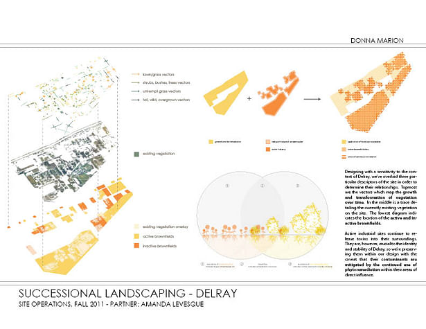Successional Landscaping - plans and diagrams