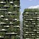 Boeri Studio's Vertical Forest in Milan consists of two residential towers that are 'made' of various trees and plants. Photo: Architect Boeri Studio