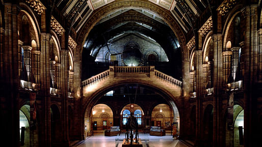 Image: Natural History Museum