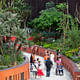 Cooled Conservatories, Gardens by the Bay, Singapore by Wilkinson Eyre; Photo: Craig Sheppard