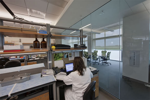 Example of a lab allowing full views which reflects a trend of openness and allows natural light to enter enhancing worker productivity.