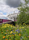 London Olympic Stadium by Populous (Photo: Populous)