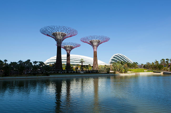 Cooled Conservatories, Gardens by the Bay, Singapore by Wilkinson Eyre; Photo: Craig Sheppard