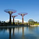 Cooled Conservatories, Gardens by the Bay, Singapore by Wilkinson Eyre; Photo: Craig Sheppard