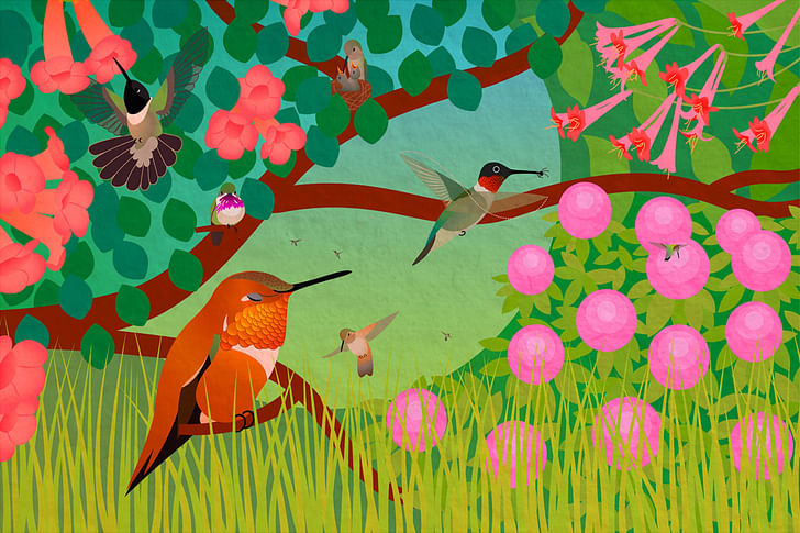 Life of Hummingbirds. (2011) One of seven bird illustrations for the educational phone app “Build a Bird” by Iridescent and the Cornell Lab of Ornithology. It has also been featured on TV in commercials + shows and several exhibits.