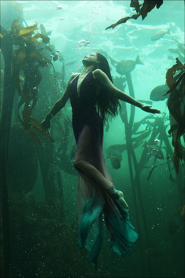Mermaid Aquatic Tank