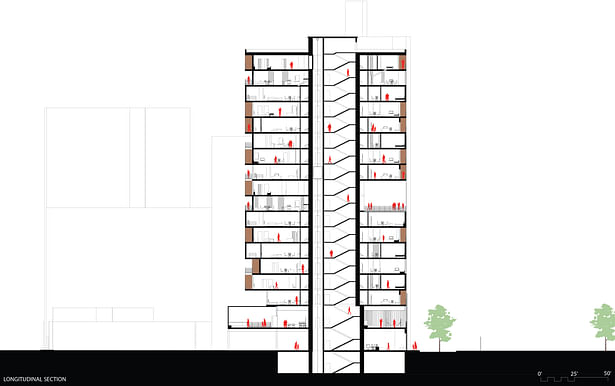 Section Drawing