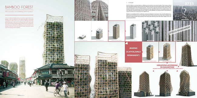 Honorable Mention. Bamboo Forest: Skyscrapers And Scaffoldings In Symbiosis. Thibaut Deprez (France)