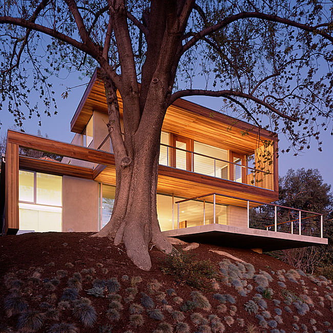 Tree House in Los Angeles, CA by Standard