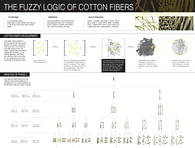 The Fuzzy Logic of Cotton Fibers