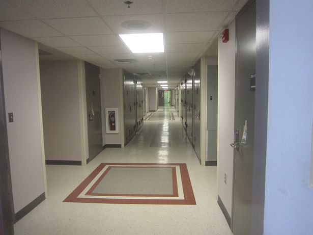 Typical Corridor - each floor color coded to match facility standard.