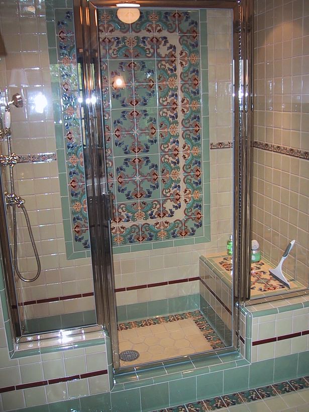 Guest Bath Shower