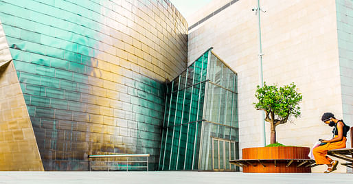 Highly Commended: ​Museo Guggenheim Bilbao by Javier Arcenillas 