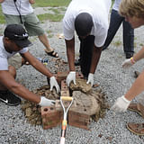Studio H students Erick Bowen, Kerron Hayes, & Colin White burn cow patties for their first project, water filters. From IF YOU BUILD IT, a Long Shot Factory Release 2013.