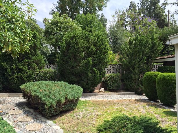 Before- backyard with old ret. wall with higher ground behind. 6/2014.