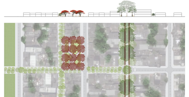 Detail plan and section of Plaza Flamboyan, a pocket plaza that highlights the colorful trees of the Fabaceae family and celebrates the tree as the protagonist instead of any conquistador or individual