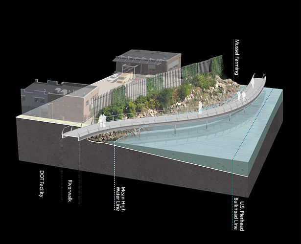 WXY Architecture