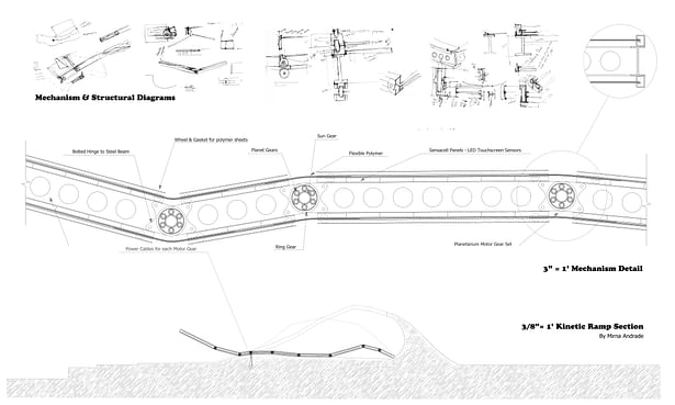 Structural kinetic study