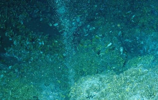 Methane escaping from vents on the seafloor. Source: NOAA