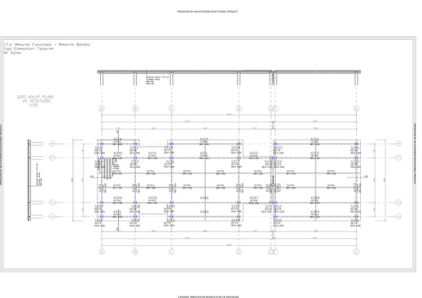 roof plan