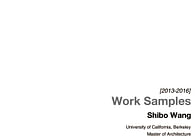 Shibo Wang 2013-2016 Work Samples