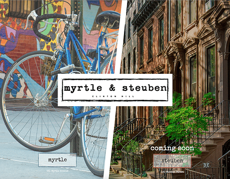 Myrtle & Steuben
