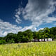 High Meadow. Image: Nic Lehoux/Bohlin Cywinski Jackson
