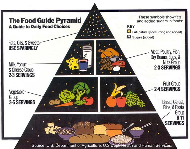 The Food Pyramid - healthier / more essential foods toward bottom