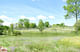 Exterior view of The River from the wetlands. Image courtesy of Grace Farms and SANAA