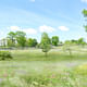 Exterior view of The River from the wetlands. Image courtesy of Grace Farms and SANAA