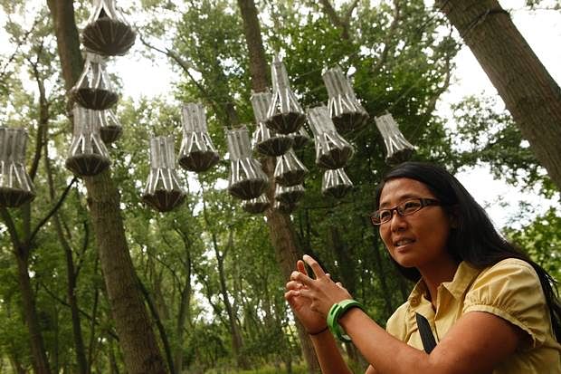Joyce Hwang, UB architecture professor, combines her expertise in biology to create habitats for the flying mammals (Photo: The Buffalo News)