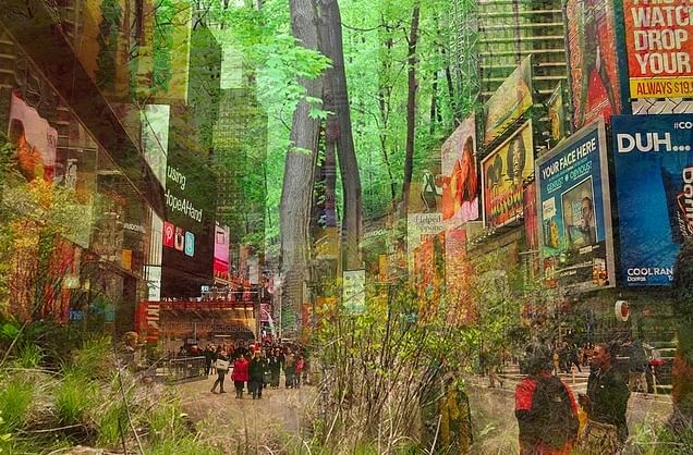 Build a PopUP Forest in Times Square, NYC. Image via Kickstarter.
