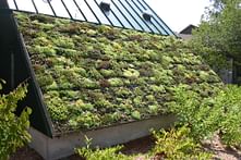 France Mandates "Green Roofs" for all new buildings
